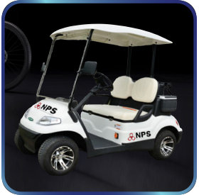 carrito de golf